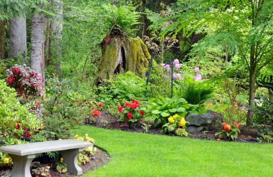 עיצוב גינות2